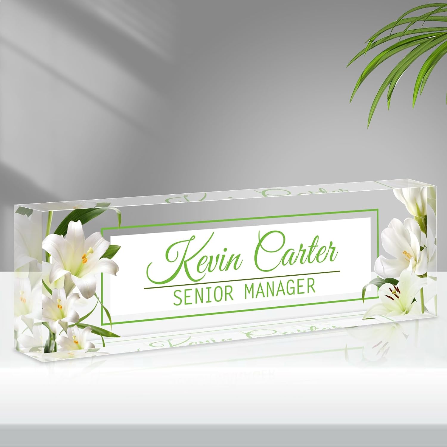 Name Plate for Desk Personalized, Acrylic Desk Decorations, Employee Appreciation Gifts, Custom Office Gifts for Coworkers, Boss, Teacher, Nurse (Lily)