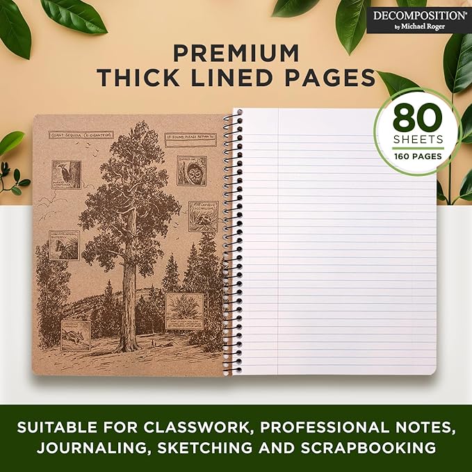 Decomposition 24-Pack Everglades College Ruled Spiral Notebooks – 9.75" x 7.5" Journal, 160 Lined Pages Each – 100% Recycled Paper – Bulk Notebooks for Schools, Offices & Institutions – Made in USA