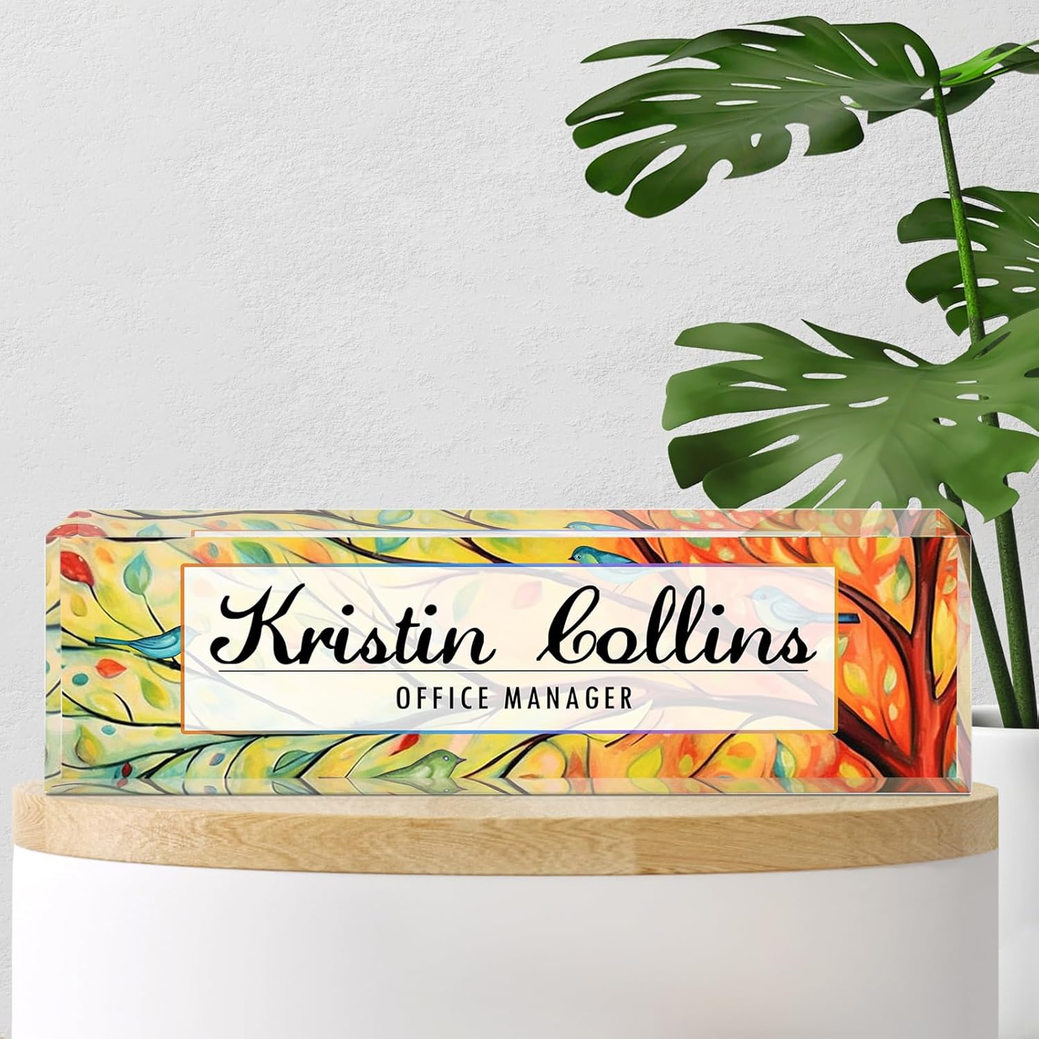 Custom Name Plate for Desk, Acrylic Office Decor For Women Men, Personalized Office Desk Accessories, Teacher Employee Appreciation Gifts For Social Worker Boss Coworkers (Birds)
