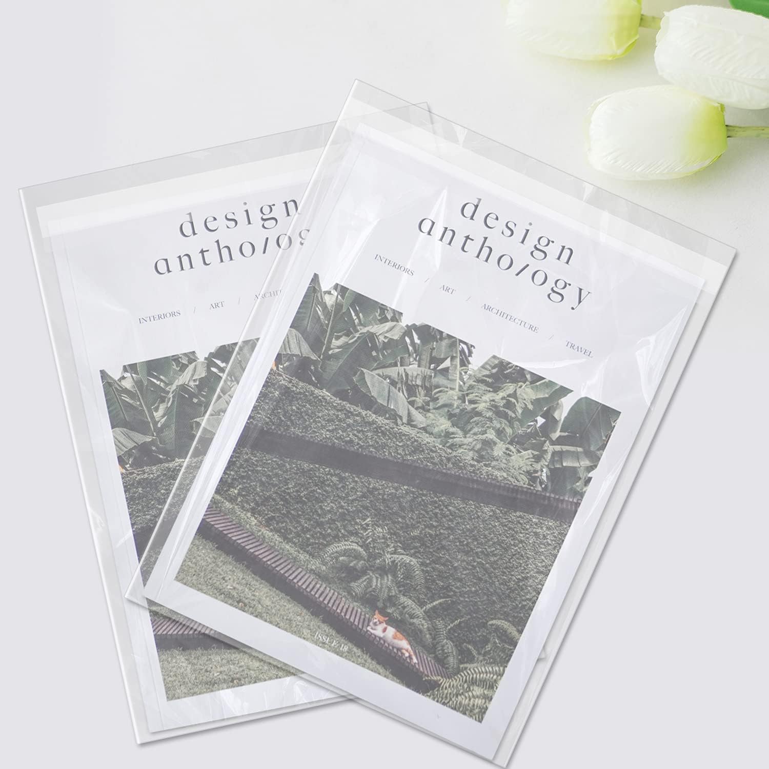 AUEAR 11" x 14" (100 Pack) Clear Plastic Sleeves - Acid Free 1.6mil Crystal Resealable Bags -Fit for 11x14 Prints, Photos, Documents, Clothing, T-Shirt