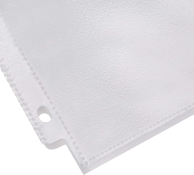 Amazon Basics Sheet Protector, Non-Glare, 100-Pack, 8.5 x 11, Clear