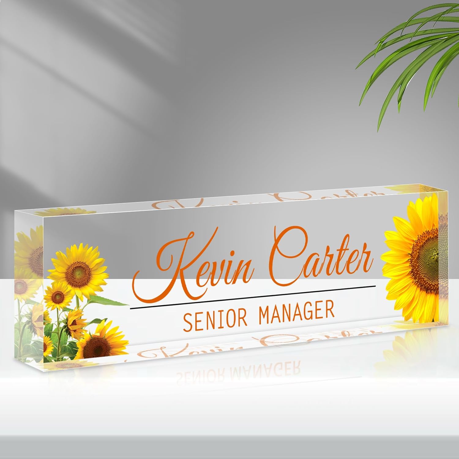 Name Plate for Desk Personalized, Acrylic Desk Decorations, Employee Appreciation Gifts, Custom Office Gifts for Coworkers, Boss, Teacher, Nurse (Sunflower)