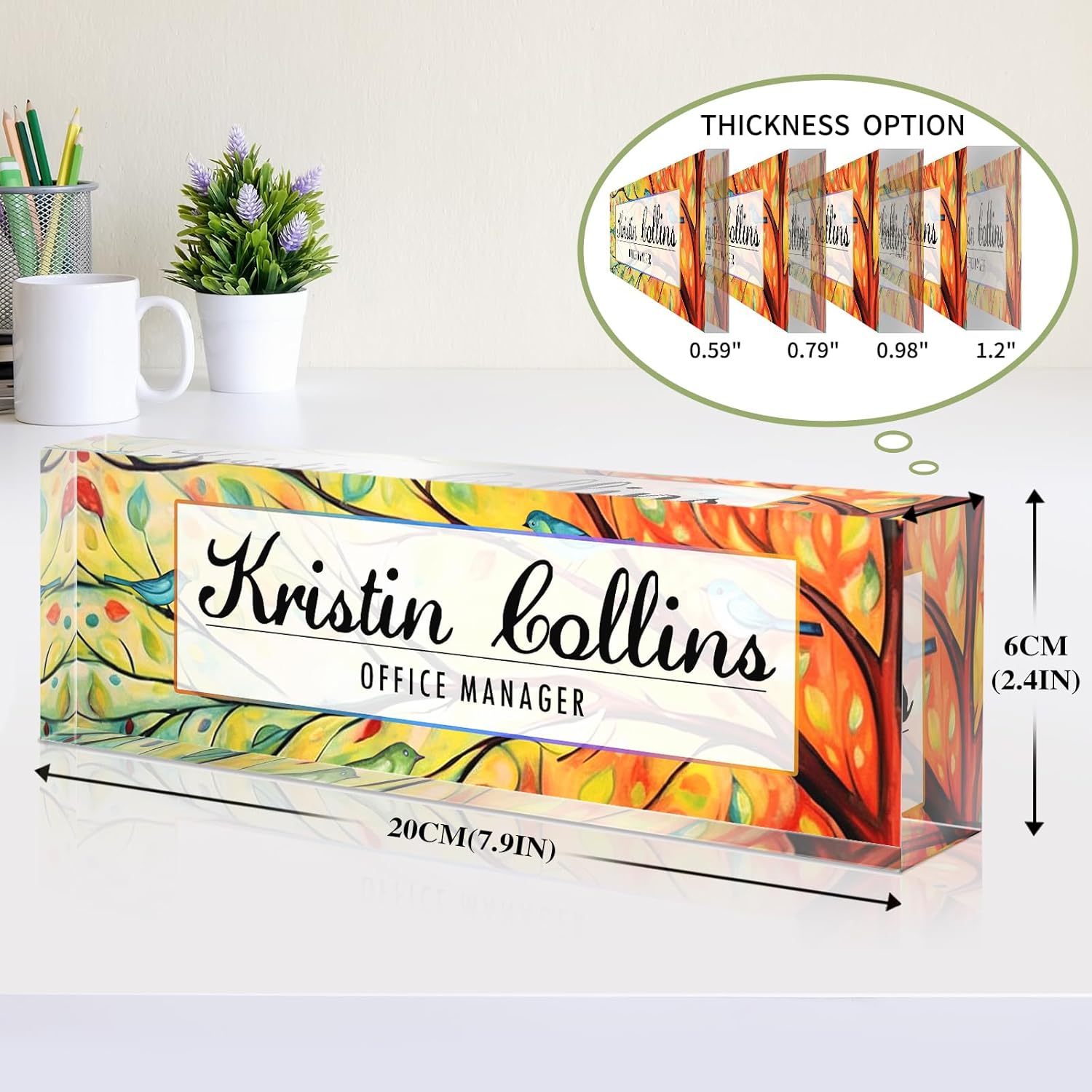 Custom Name Plate for Desk, Acrylic Office Decor For Women Men, Personalized Office Desk Accessories, Teacher Employee Appreciation Gifts For Social Worker Boss Coworkers (Birds)