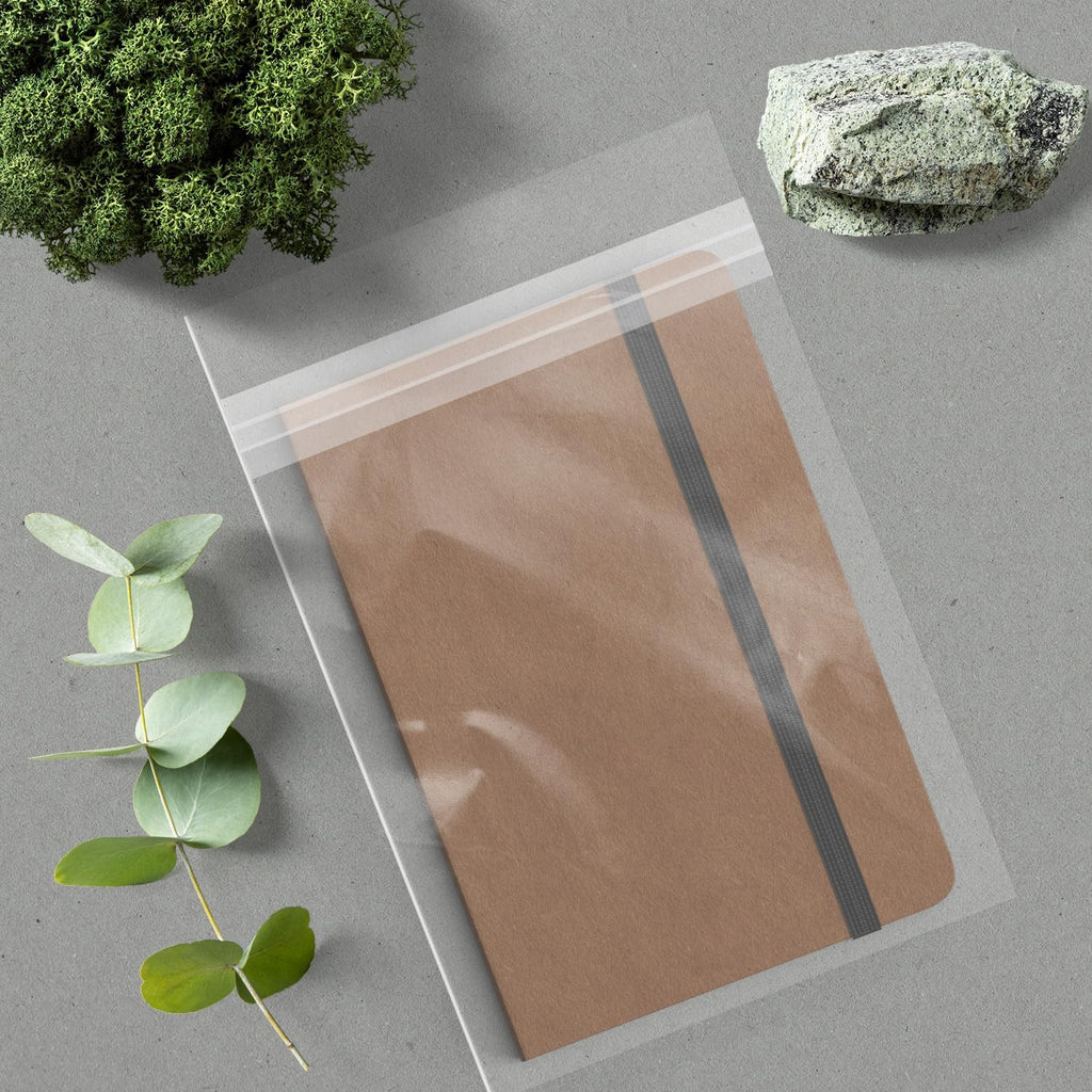 AUEAR, 9"x12" (100 Pack) Clear Plastic Sleeves - Acid Free 1.6Mil Crystal Resealable Bags -Fit for 9X12 Art Prints & Photos, A4, Letter Sized Documents